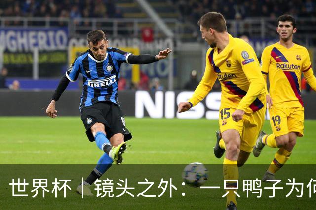世界杯｜镜头之外：一只鸭子为何火遍世界杯？