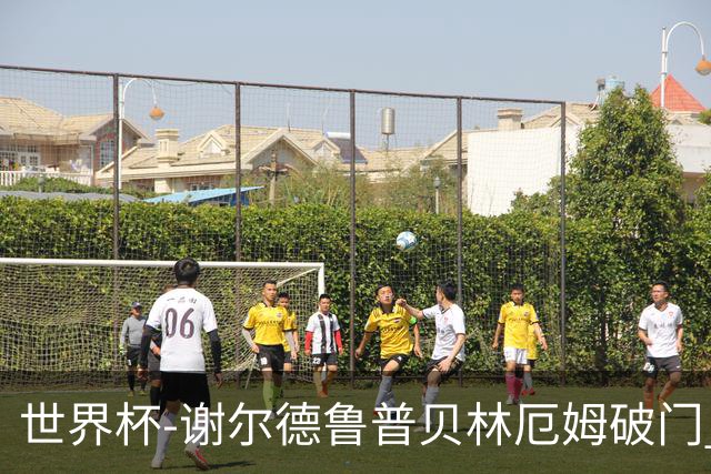 世界杯-谢尔德鲁普贝林厄姆破门 挪威1-1英格兰进加时