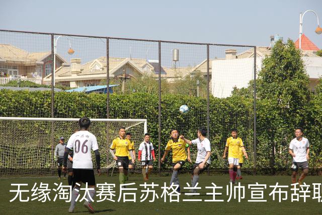 无缘淘汰赛后苏格兰主帅宣布辞职 执教七年出战三届大赛
