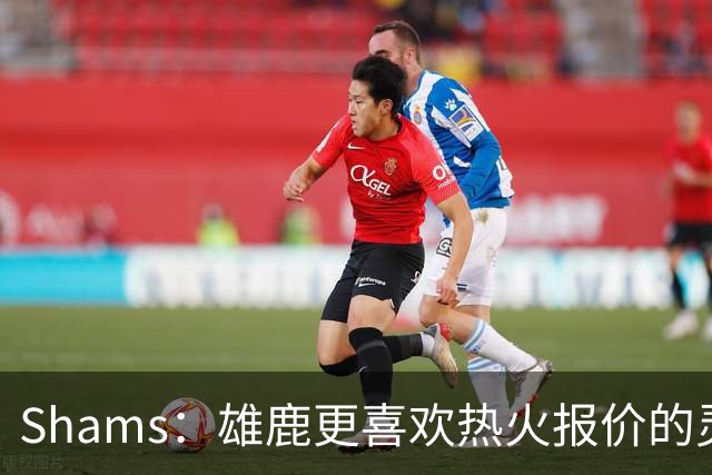 Shams：雄鹿更喜欢热火报价的灵活性和潜力 不想要29岁的布朗